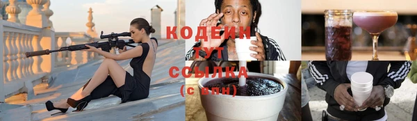 молекула духа Дмитриев