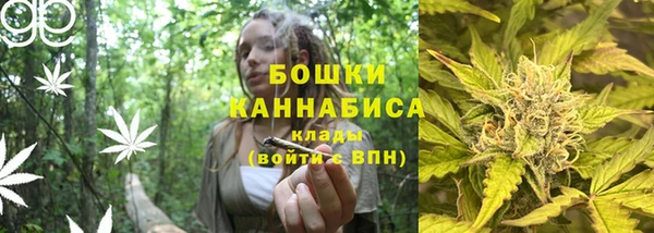 молекула духа Дмитриев