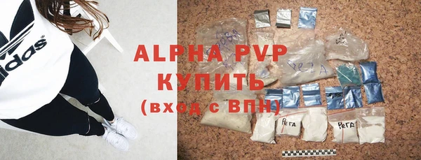 прущие грибы Горнозаводск